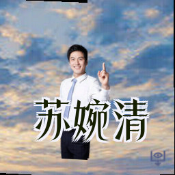 苏婉清